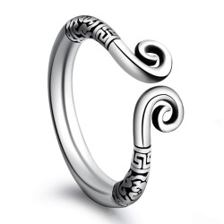 ancient stainless steel glans ring